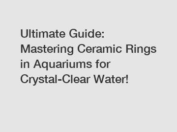 Ultimate Guide: Mastering Ceramic Rings in Aquariums for Crystal-Clear Water!