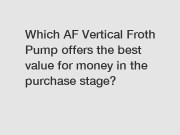 Which AF Vertical Froth Pump offers the best value for money in the purchase stage?