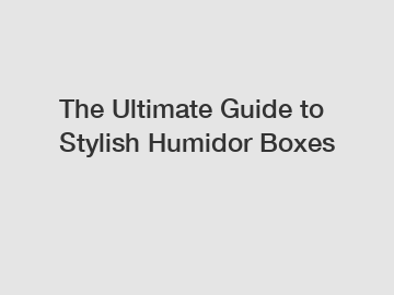 The Ultimate Guide to Stylish Humidor Boxes